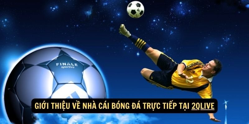 Giới thiệu về nhà cái bóng đá trực tiếp tại 2qlive